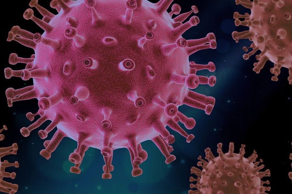Wat je moet weten over virussen en bacterië